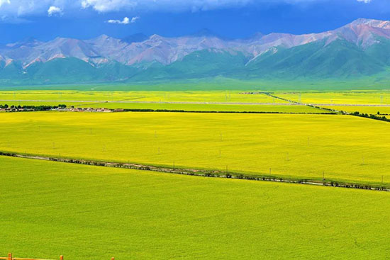 青海,不止有青海湖!