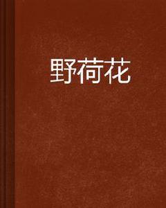 野荷花 野荷花