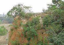 寶慶公主[明朝公主]