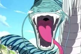 空之主[動漫《海賊王》中角色]