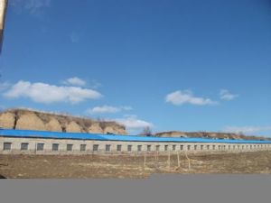 大青咀鎮 大青咀鎮