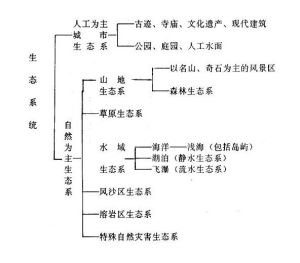 旅遊生態系統 旅遊生態系統