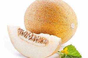 哈密瓜[葫蘆科植物甜瓜的一個品種]