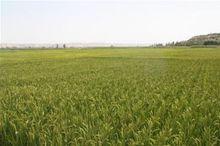 三灘鎮[靖遠縣三灘鎮]