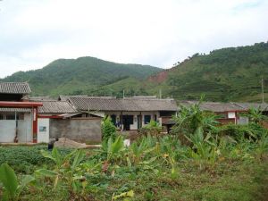 同關箐自然村 同關箐自然村