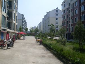 青雲街道 青雲街道