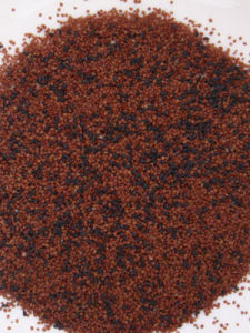 黑玫瑰籽海藻面膜 黑玫瑰籽海藻面膜