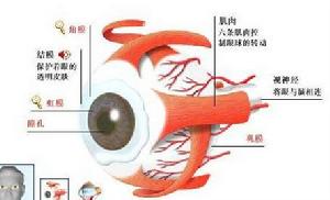 原發性共同性內斜視