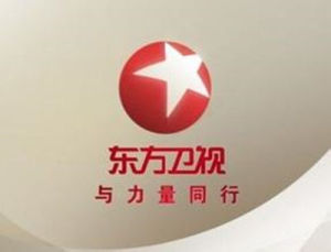 2016年東方衛視跨年演唱會 2016年東方衛視跨年演唱會