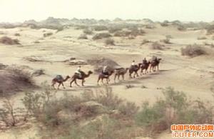 丹丹烏里克 丹丹烏里克