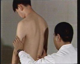 人體體格檢查 人體體格檢查