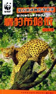 情豹布哈依 情豹布哈依