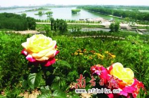 唐山世界園藝博覽會