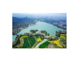 鳳凰鎮[山東省鄄城縣鳳凰鎮]