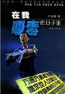 在我吸毒的日子裡 在我吸毒的日子裡