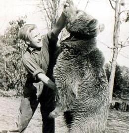 佛伊泰克 佛伊泰克