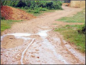 新和大村 新和大村