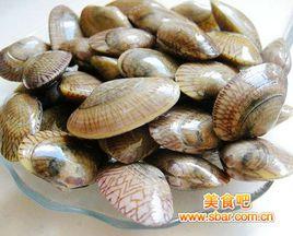 花甲貝 花甲貝