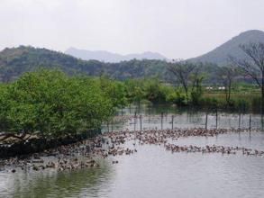 下坂底村 下坂底村