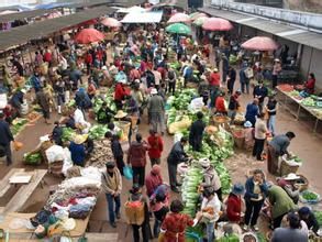 集貿市場 集貿市場