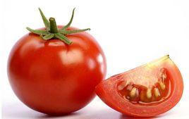 粉冠一號 粉冠一號