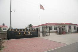 天津科潤黃瓜研究所 天津科潤黃瓜研究所