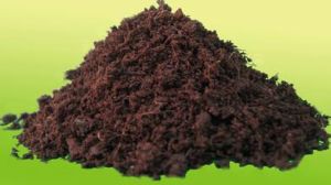 腐泥基質 腐泥基質