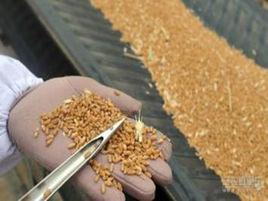 國務院關於進一步深化糧食流通體制改革的意見 國務院關於進一步深化糧食流通體制改革的意見