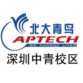 深圳北大青鳥中青學校