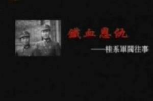 鐵血恩仇-桂系軍閥往事 鐵血恩仇-桂系軍閥往事