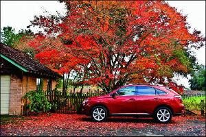 沁透心脾 沁透心脾