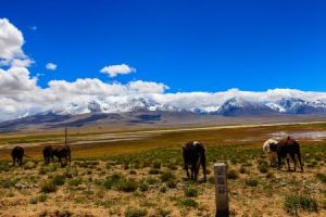 多慶錯國家濕地公園 多慶錯國家濕地公園