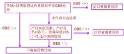 GBS[B族鏈球菌]