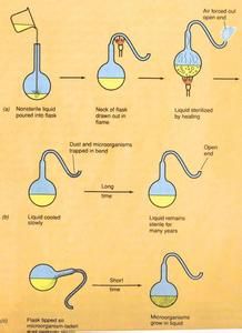 作用效應設計值 作用效應設計值