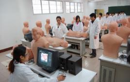 針灸按摩專業 針灸按摩專業