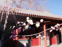 劉兵[華傳文化CEO]