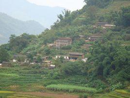 老房子村[雲南普洱市墨江縣通關鎮下轄村]