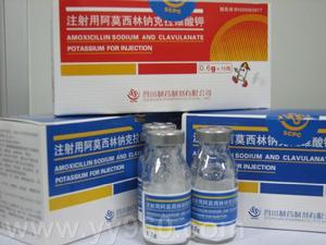 阿莫西林鈉克拉維酸鉀注射液 阿莫西林鈉克拉維酸鉀注射液