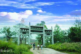 嶧陽孤桐 嶧陽孤桐