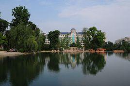 彭山恆大酒店 彭山恆大酒店