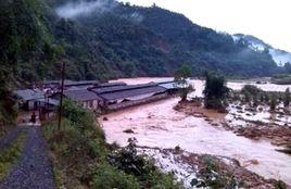 大龍村[廣東廣州市番禺區石碁鎮大龍村]