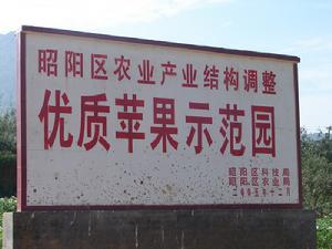 （圖）優質蘋果示範園 