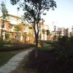 蘇源南園 蘇源南園