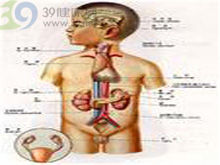 多腺體缺陷綜合徵 多腺體缺陷綜合徵