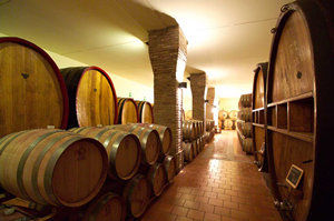 碧昂斯皮諾酒莊酒窖