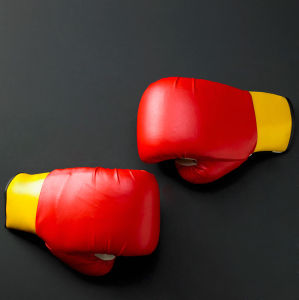 拳擊手套 拳擊手套