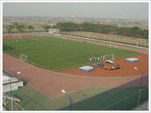 天然橡膠體育場