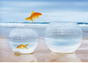 跳槽價值 跳槽價值