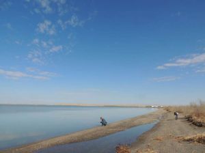 艾里克湖 艾里克湖