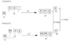 扎依采夫規則 扎依采夫規則